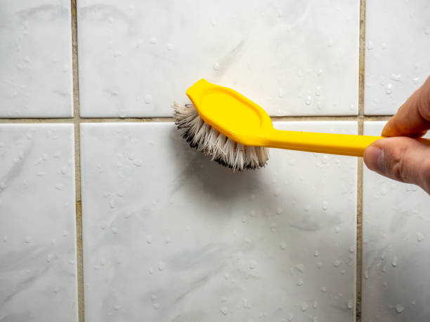 Best Professional Mold Removal  in Marksville, LA