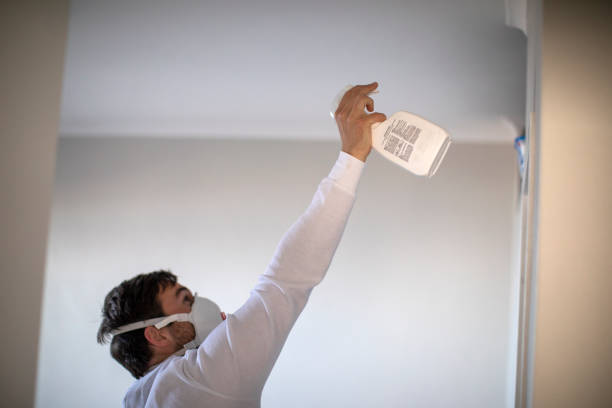 Best Affordable Mold Removal  in Marksville, LA