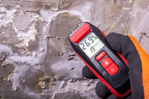 Best Office Mold Removal Services  in Marksville, LA