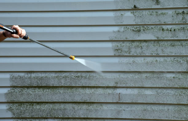 Best Home Mold Removal  in Marksville, LA