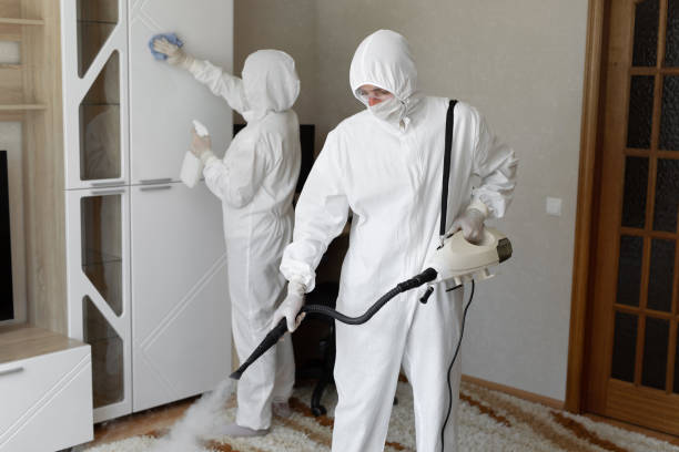 Best Toxic Mold Removal  in Marksville, LA
